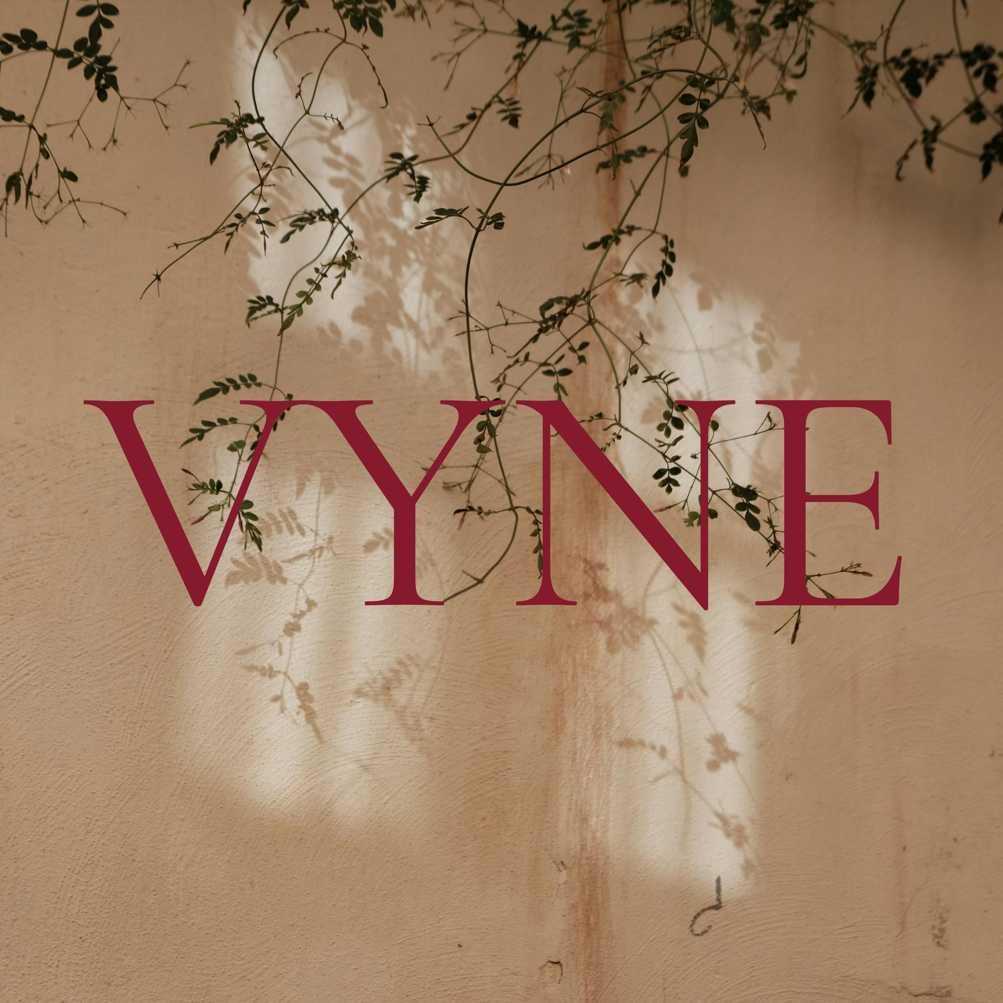 VYNE Gift Card